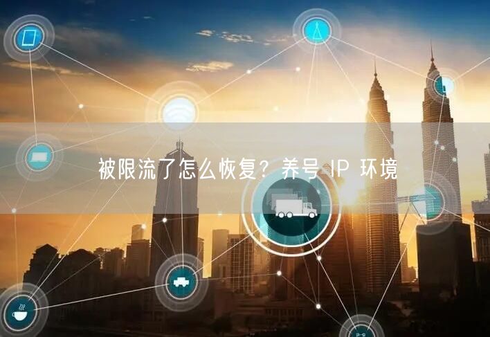 被限流了怎么恢复？养号 IP 环境