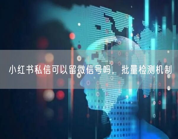 小红书私信可以留微信号吗，批量检测机制